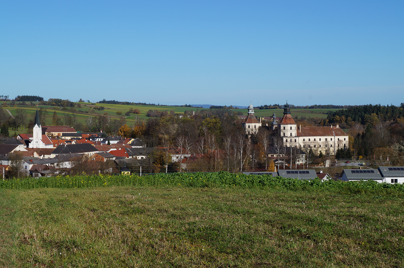 Blick über grüne Wiesen auf die Gemeinde Schwarzenau