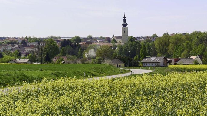 Blick auf die Gemeinde Thaya im Vordergrund ein blühendes Rapsfeld