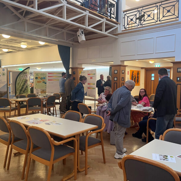 Großes Interesse beim Bürgercafé in Langenzersdorf: Über 100 Teilnehmende diskutierten die Zukunft der Gemeinde