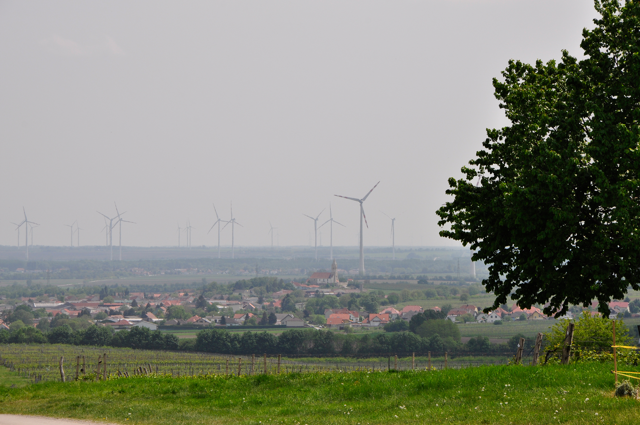 Blick auf die Gemeinde Höflein mit Windrädern im Hintergrund