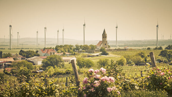 Blick auf Höflein