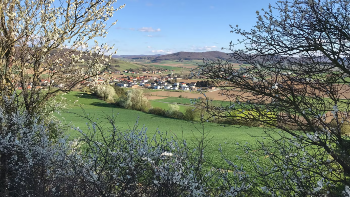 Blick auf die Marktgemeinde Asperhofen