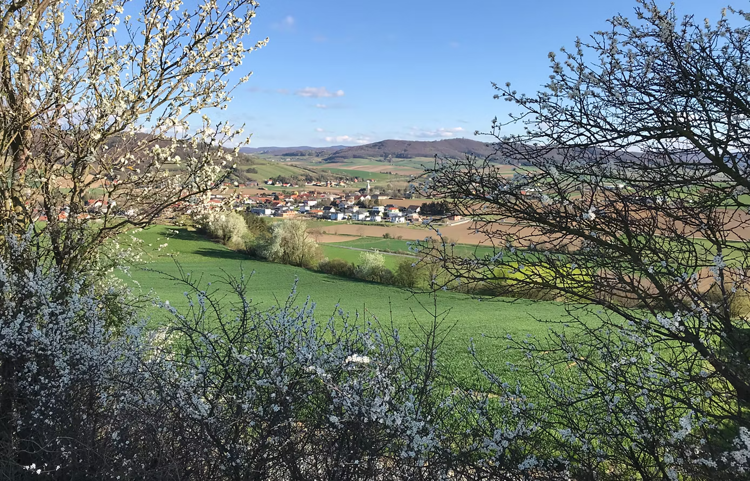 Blick auf die Marktgemeinde Asperhofen